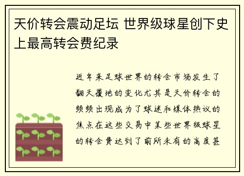 天价转会震动足坛 世界级球星创下史上最高转会费纪录